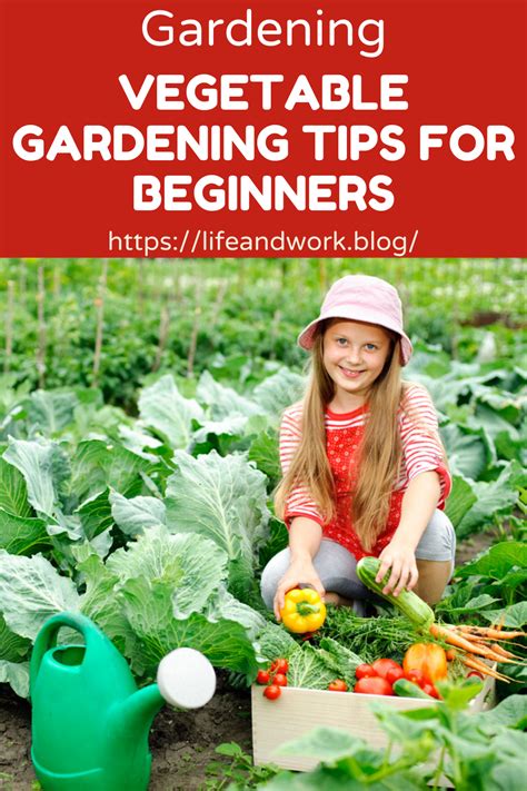 Vegetable Gardening For Beginners Guide Plant Instructions