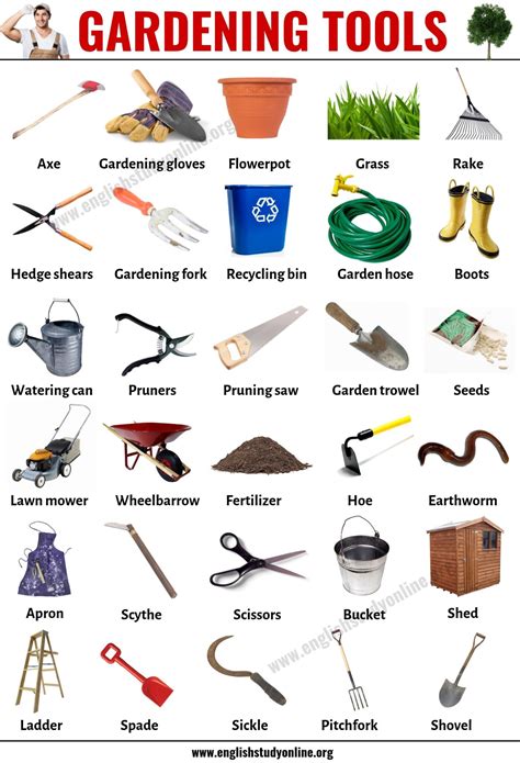 Gardening Tools And Equipment: A Comprehensive Guide For 2026