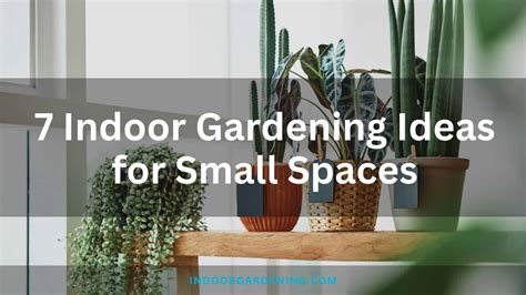 25+ BEST INDOOR GARDEN IDEAS FOR YOUR HOME IN SMALL SPACES