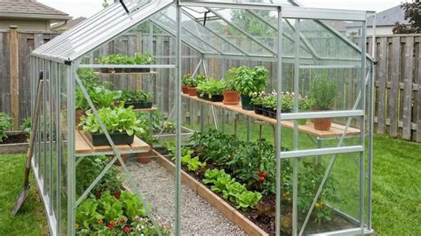 Summer greenhouse garden. Backyard greenhouse, Greenhouse vegetables