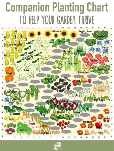 Veggie & Herb Planting Guide for Sections of California and Arizona