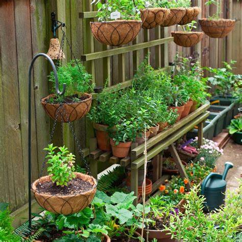 Small Space and Container Gardening Foreman's General Store