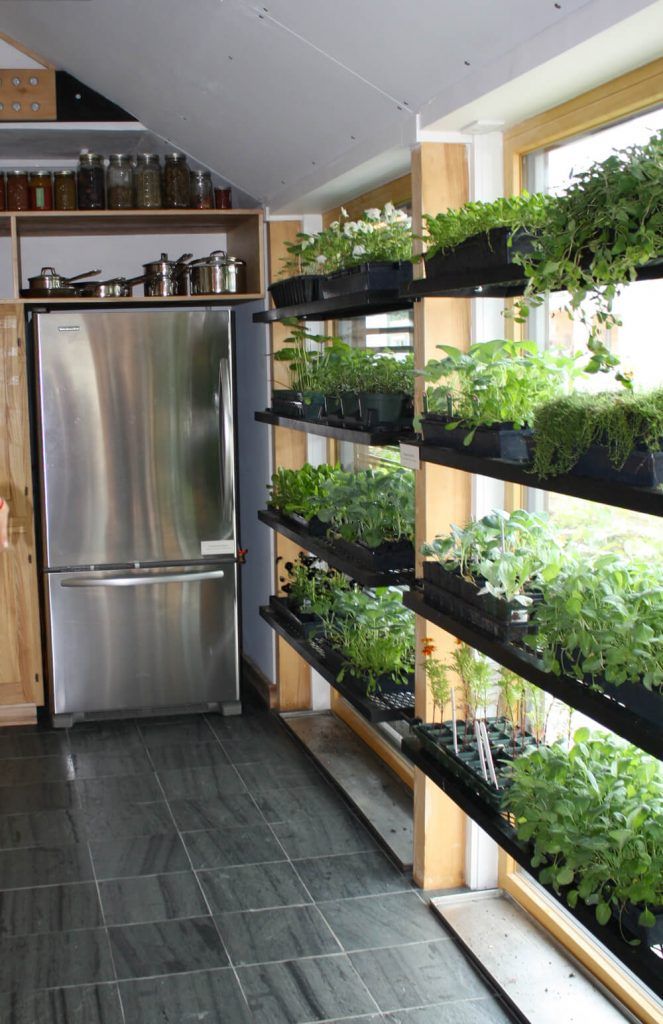 21 Awesome Indoor Garden Ideas for Wannabe Gardeners in Small Spaces