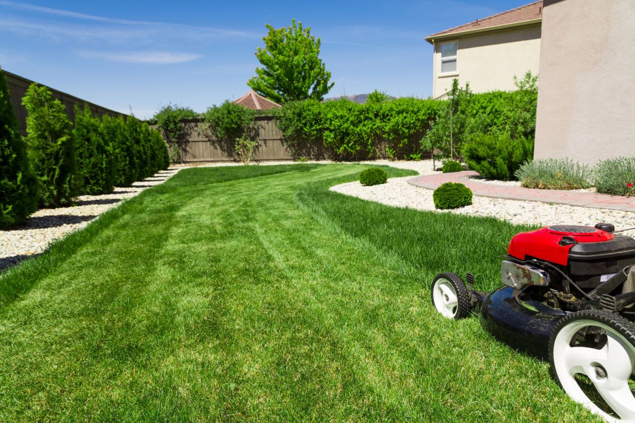 4 Ways Having a Healthy Lawn is Good for the Environment The
