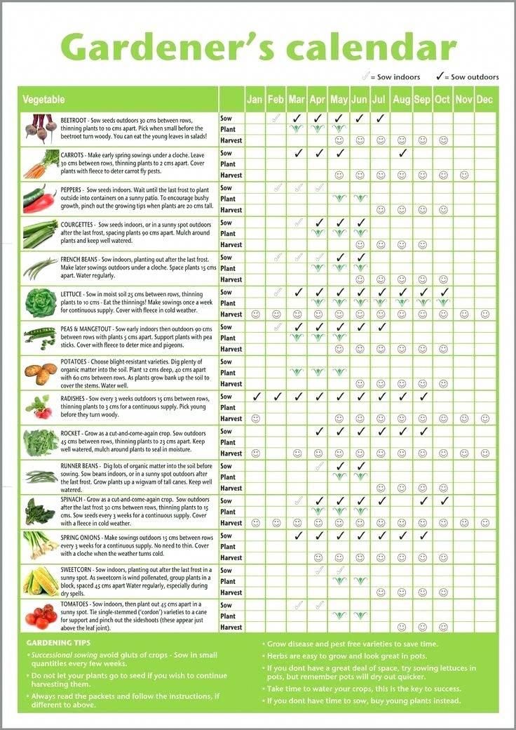 Seasonal Gardening Tasks In 2026