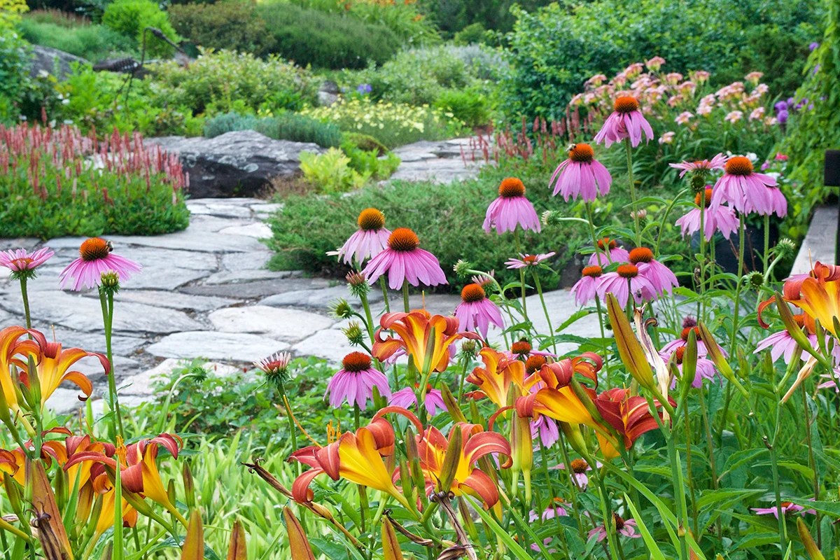 Creating A Pollinator-Friendly Yard In 2026
