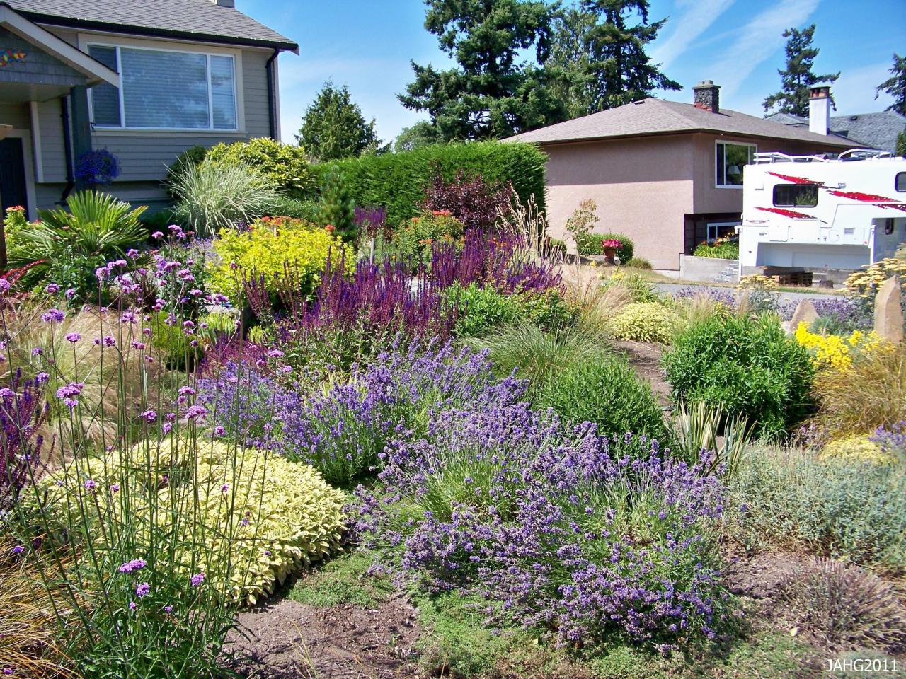 Drought-Tolerant Plants And Landscaping In 2023