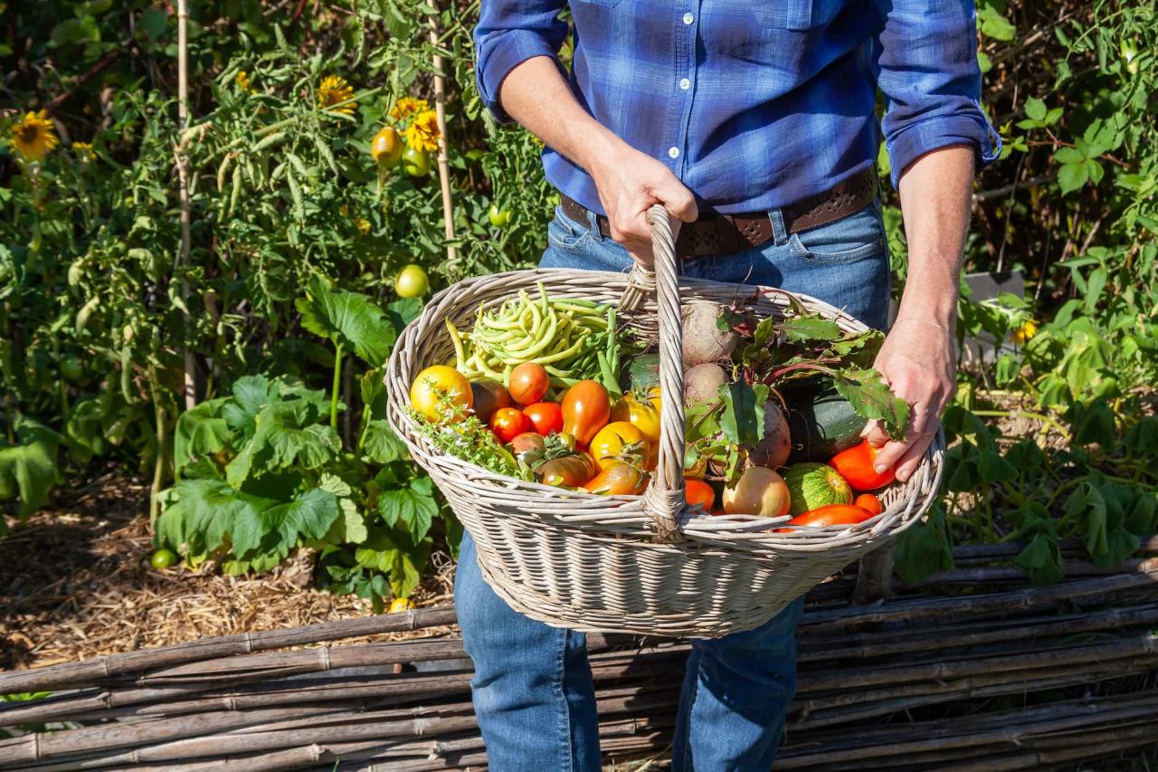 15 Tips On How To Store and Preserve Your Garden Harvest Farmers' Almanac
